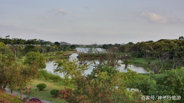 白水寨旅游攻略，增城白水寨旅游攻略（去广州白水寨森林公园）