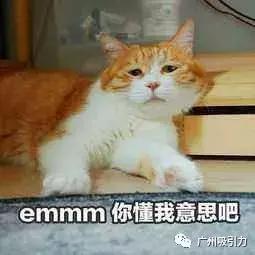 冇眼睇是什么意思,冇眼睇怎么回复(居然可以这么“盏鬼”) 冇眼睇是什么意思,冇眼睇怎么回复(居然可以这么“盏鬼”)