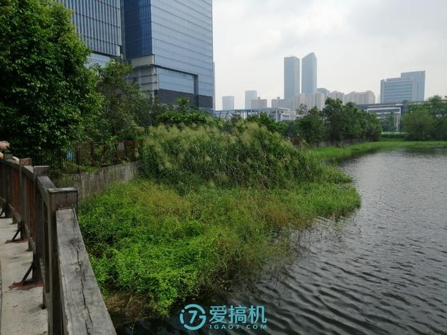 honor8x是什么型号手机，honor8x手机多少钱（荣耀8X详细体验评测）