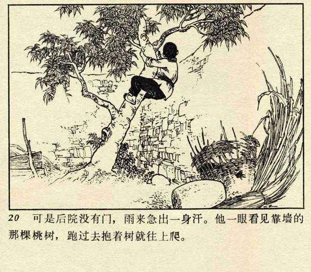 小英雄雨来思维导图，小英雄雨来情节思维导图简短