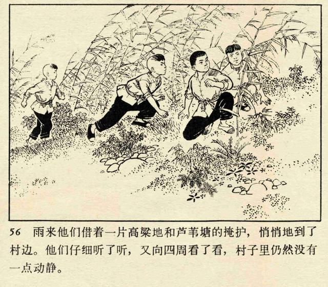 小英雄雨来思维导图，小英雄雨来情节思维导图简短