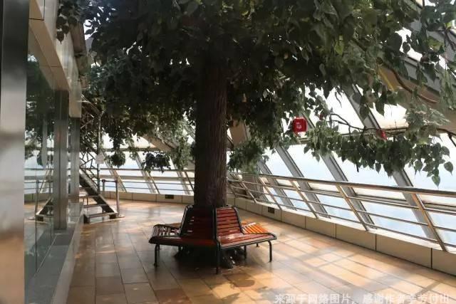 西安电视塔有多高，西安电视塔有多高多少米（感受玻璃平台带来的刺激和心跳）