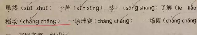 甲壳虫读音两个都对吗，甲壳虫读音（二年级语文课本惊现错误拼音）