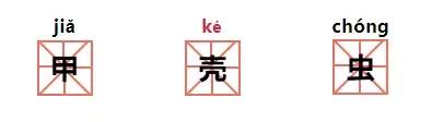甲壳虫读音两个都对吗，甲壳虫读音（二年级语文课本惊现错误拼音）