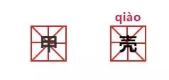 甲壳虫读音两个都对吗，甲壳虫读音（二年级语文课本惊现错误拼音）
