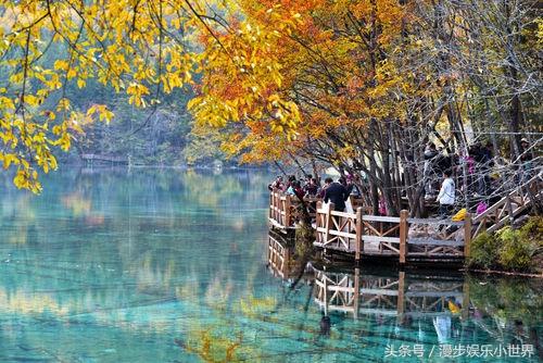 我的理想作文400字，我的理想作文400字教师（在美轮美奂的九寨沟——你的梦境我的梦想）