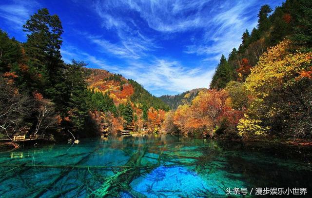 我的理想作文400字，我的理想作文400字教师（在美轮美奂的九寨沟——你的梦境我的梦想）