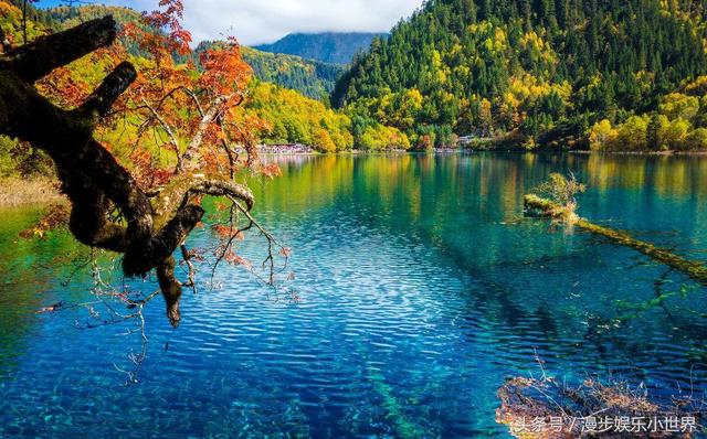 我的理想作文400字，我的理想作文400字教师（在美轮美奂的九寨沟——你的梦境我的梦想）