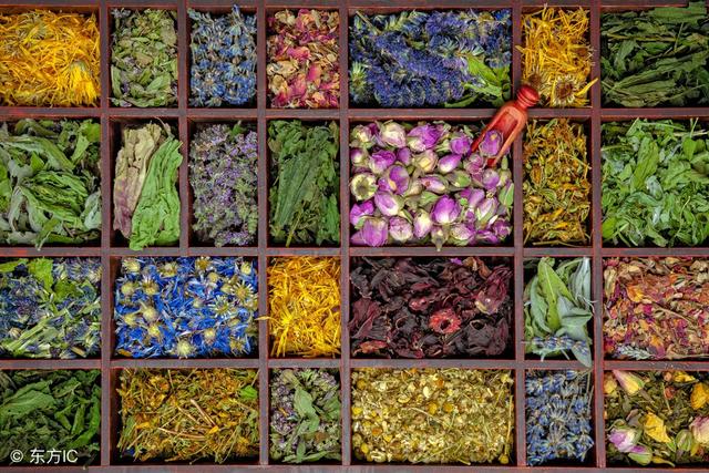 罗布麻茶的功效与作用及禁忌，罗布麻茶的功效与作用及禁忌和副作用（中医常见的6类失眠药茶疗法）