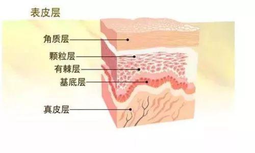 手上蜕皮严重蜕皮用什么办法可以治疗，手上蜕皮是什么原因（这几招教你轻松应对）