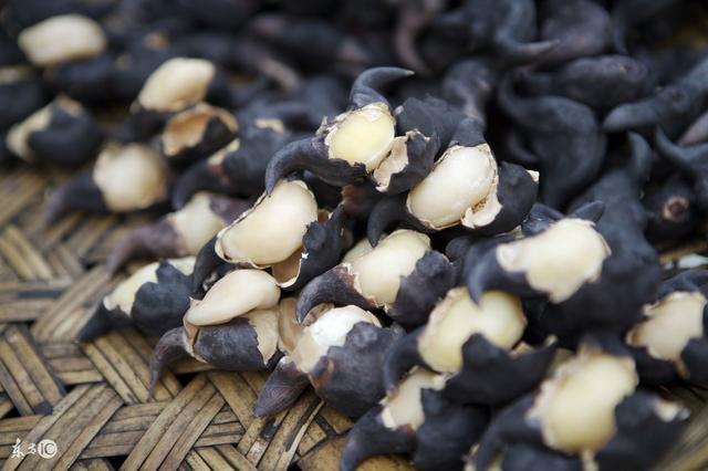 菱角怎么吃，菱角怎么吃有什么好处（作为江浙人一定要知道的其他吃法）