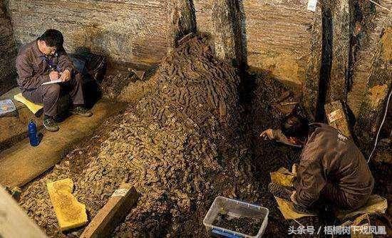 茂陵被盗过吗(汉武帝茂陵地宫打开了吗)
