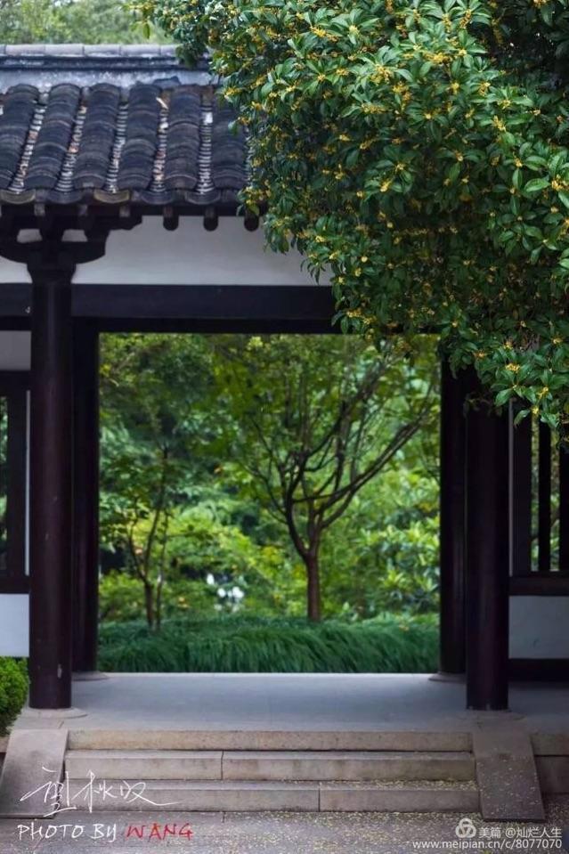 形容桂花香的句子，形容桂花香的句子和词语（桂子花开九里香）