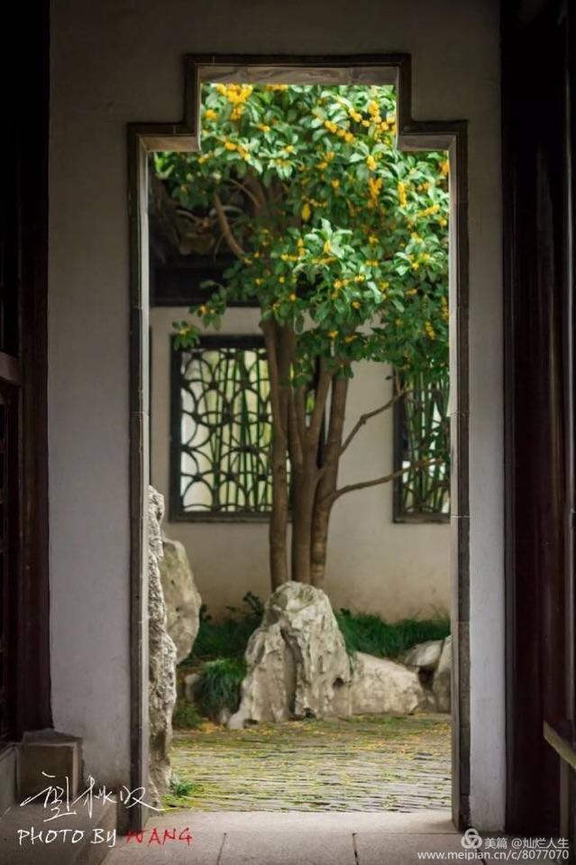 形容桂花香的句子，形容桂花香的句子和词语（桂子花开九里香）