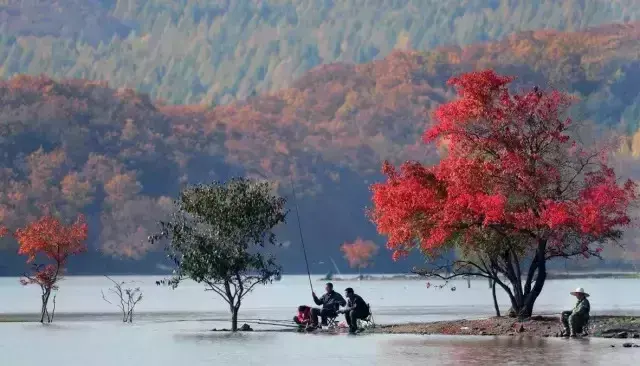 镜泊湖门票多少钱一张，镜泊湖门票多少钱一张包括哪些地方（国庆镜泊湖门票优惠购）