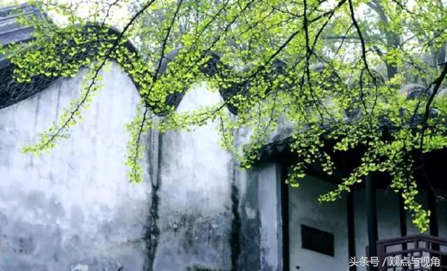 三都赋作者是谁，《三都赋》之所以令洛阳纸贵（《三都赋》）