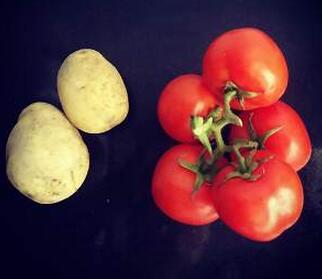 圖片[4]-【番茄土豆?jié)鉁孔龇ú襟E圖 平衡體內(nèi)酸堿環(huán)境 促進尿酸排出-起舞食譜網(wǎng)