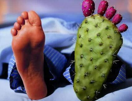 圖片[2]-【番茄土豆?jié)鉁孔龇ú襟E圖 平衡體內(nèi)酸堿環(huán)境 促進尿酸排出-起舞食譜網(wǎng)