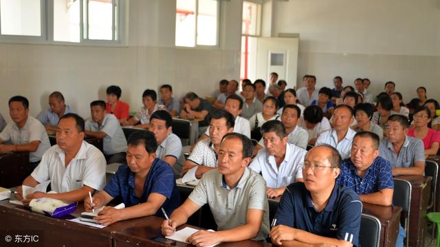 小学语文听课记录50篇，听课笔记（小学语文评课用语）