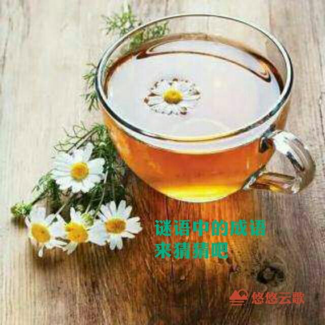 明打一成语四个字，明打一成语（谜语中的成语让你大开眼界）