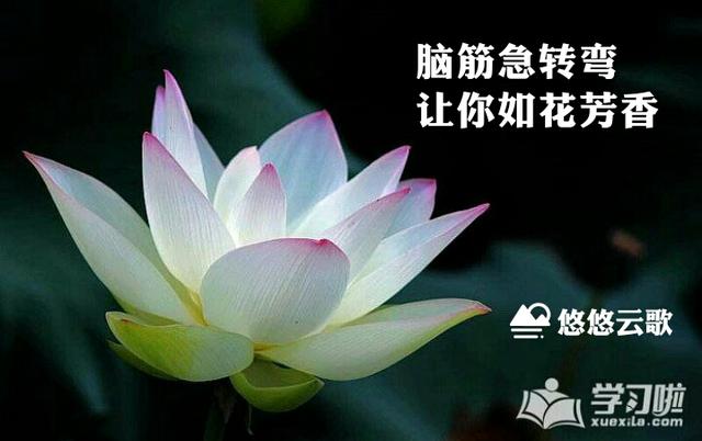 明打一成语四个字，明打一成语（谜语中的成语让你大开眼界）