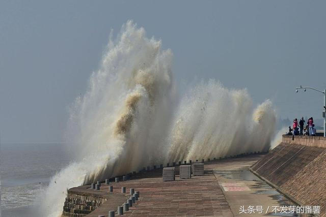 嘉兴在哪里啊，嘉兴在哪里啊（中国地理位置最好的县级市）
