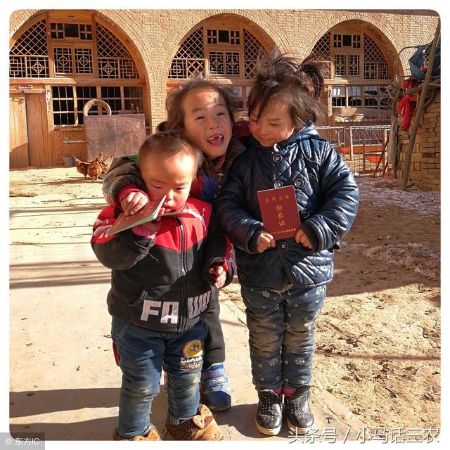 外甥是什么意思，梦到自己的小外甥是什么意思（农村老话\