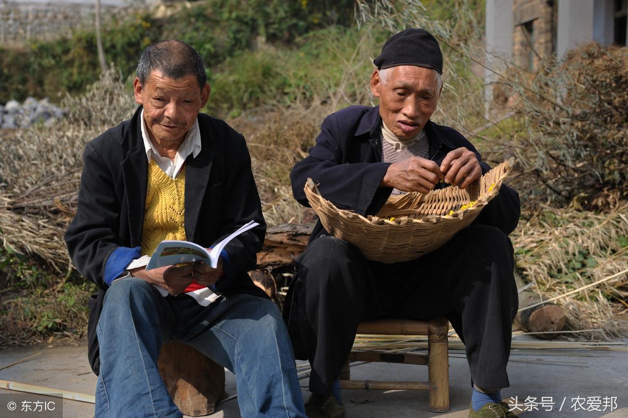 农村骂人歇后语，农村骂人歇后语驴（经典的歇后语，骂人不吐脏字）