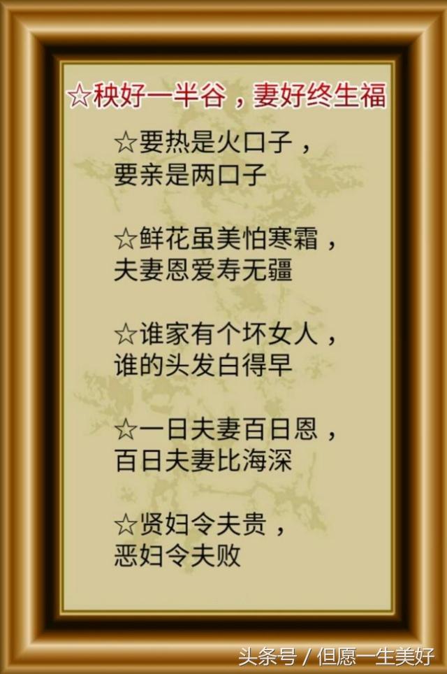 母鸡是什么意思，女生说母鸡是什么意思（家必败”是这个意思）