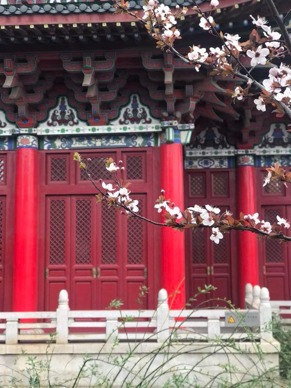 滕王阁在哪个省，滕王阁在什么省（滕王阁：落霞与孤鹜齐飞）