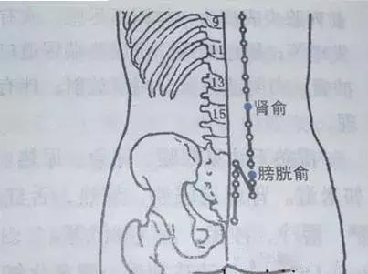 感冒鼻塞怎么快速通气，感冒鼻塞怎么快速通气中医（按摩委中穴就能解决了）