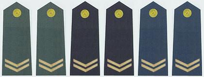 二毛一是什么军衔，军衔二毛一是什么军衔（非常有趣的军衔俗称）