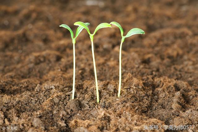 诚心能叫石头落泪，诚心能叫石头落泪的下一句是什么（小学生必背谚语汇总）