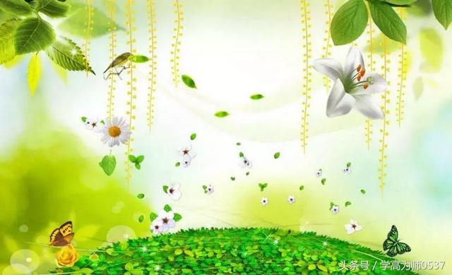 我们要爱护什么因为它能做什么,爱护环境我们都可以做什么(四年级保护环境400字优秀作文) 我们要爱护什么因为它能做什么,爱护环境我们都可以做什么(四年级保护环境400字优秀作文)