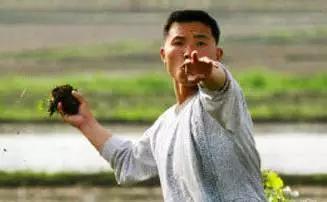 除了‘中“你还知道那些，东北话扯淡是什么意思