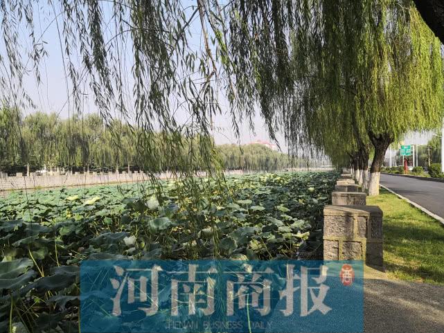 巩义碧桂园附近家电维修 河南这个“边陲”城市要火！已被地产巨头瞄上，知名房企也要进驻