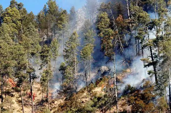 带电的所有四字成语，电的成语大全四个字（这些成语和消防有关，你知道吗）