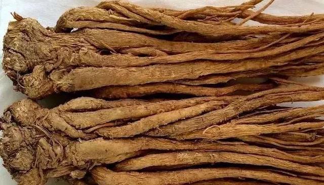 男人为什么不能吃当归，当归有什么作用和功效（它是女人的补血王）