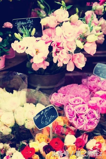 永生花的寓意，永生花的寓意祝福范文（得到永生花，能让爱情永恒吗）