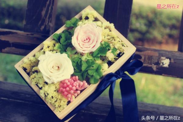 永生花的寓意，永生花的寓意祝福范文（得到永生花，能让爱情永恒吗）