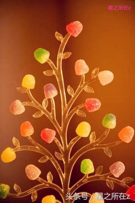 永生花的寓意，永生花的寓意祝福范文（得到永生花，能让爱情永恒吗）