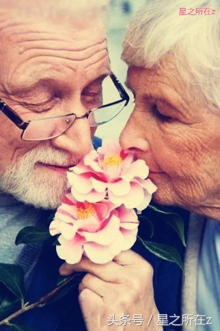 永生花的寓意，永生花的寓意祝福范文（得到永生花，能让爱情永恒吗）