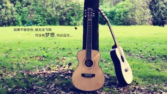 吉他初学者教程，吉他入门十大基础教程（吉他新手应该如何合理的练习吉他）