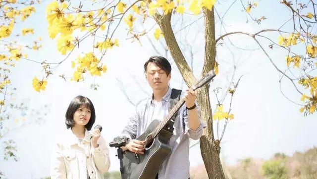 吉他初学者教程，吉他入门十大基础教程（吉他新手应该如何合理的练习吉他）
