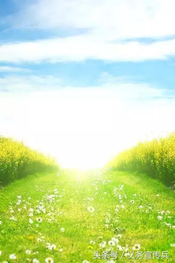 暖心的短句唯美，让对方看到暖心的句子（平淡却温暖的短句）