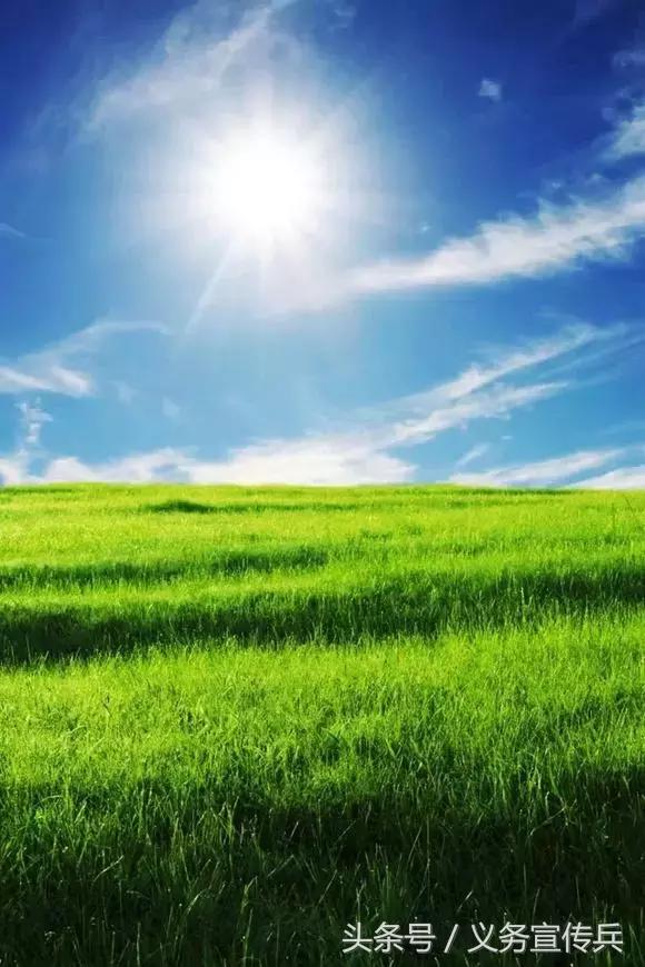 暖心的短句唯美，让对方看到暖心的句子（平淡却温暖的短句）