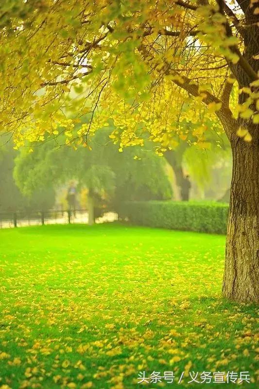 暖心的短句唯美，让对方看到暖心的句子（平淡却温暖的短句）