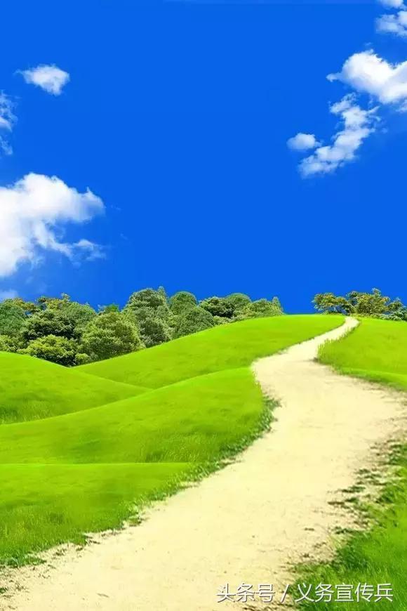 暖心的短句唯美，让对方看到暖心的句子（平淡却温暖的短句）