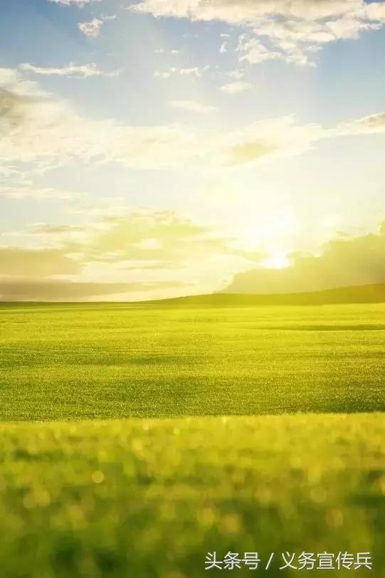 暖心的短句唯美，让对方看到暖心的句子（平淡却温暖的短句）