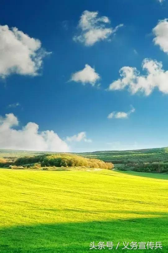 暖心的短句唯美，让对方看到暖心的句子（平淡却温暖的短句）